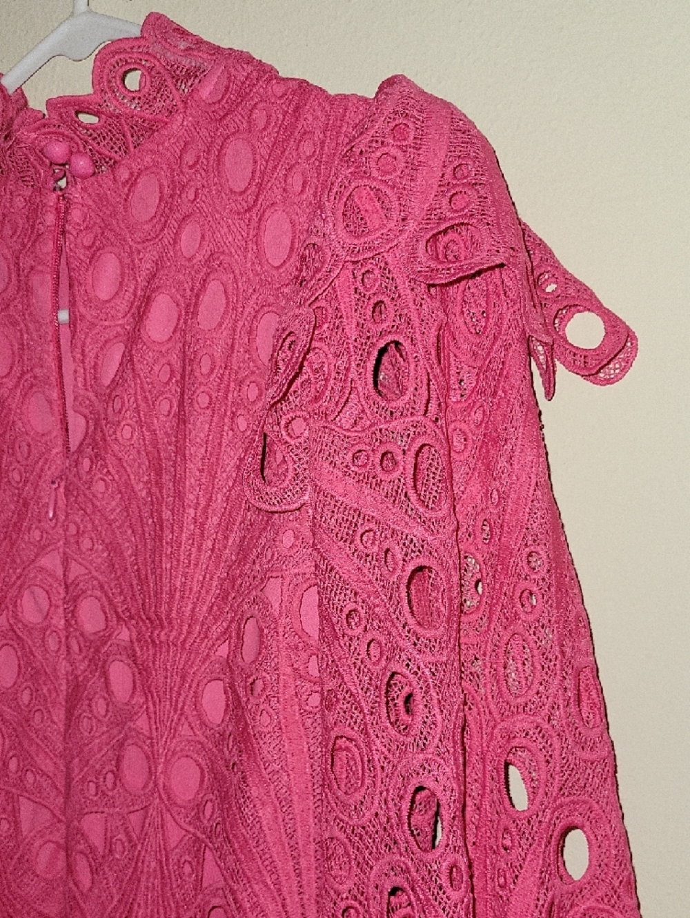 Hot Pink Lace Ruffled Mini Dress - Picture 8 of 11